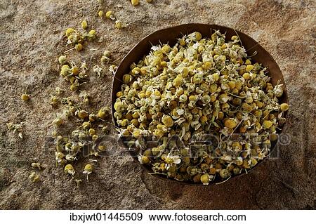 Stock Photo - "German Chamomile (Matricaria chamomilla), blossoms, in a copper bowl on a stone surface". Fotosearch