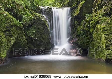 "Geroldsau waterfall, Black Forest mountain range, Baden-Wuerttemberg, Germany, Europe" View Large Photo Image Stock Photo - "Geroldsau waterfall, Black Forest mountain range, Baden-Wuerttemberg, Germany, Europe". Fotosearch