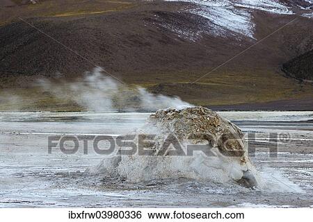 "Geyser, geyserite vent releasing steam, El Tatio, the highest geyser field in the world, Antofagasta, on the edge of the Atacama Desert, Chile, South America" View Large Photo Image Stock Photograph - "Geyser, geyserite vent releasing steam, El Tatio, the highest geyser field in the world, Antofagasta, on the edge of the Atacama Desert, Chile, South America". Fotosearch