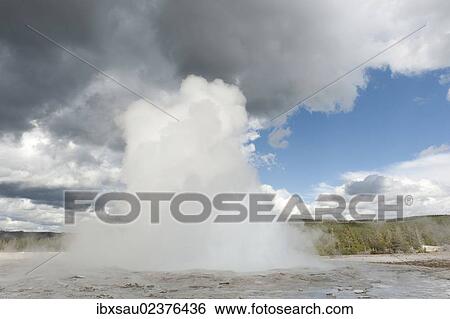 "Geyser, hot spring, eruption, steam, Clepsydra Geyser, Lower Geyser Basin, Yellowstone National Park, Wyoming, USA, United States of America, North America" View Large Photo Image Stock Photograph - "Geyser, hot spring, eruption, steam, Clepsydra Geyser, Lower Geyser Basin, Yellowstone National Park, Wyoming, USA, United States of America, North America". Fotosearch