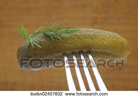 Gherkin on a fork View Large Photo Image Stock Image - Gherkin on a fork. Fotosearch
