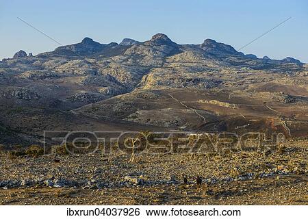 "Giant rock mountains at the Dixsam plateau, Socotra, Yemen, Asia" View Large Photo Image Stock Photograph - "Giant rock mountains at the Dixsam plateau, Socotra, Yemen, Asia". Fotosearch