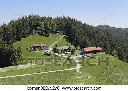 Stock Image - "Gindelalm alp near Schliersee, Mangfall Mountains, Bavarian Alps, Upper Bavaria, Bavaria, Germany, Europe". Fotosearch
