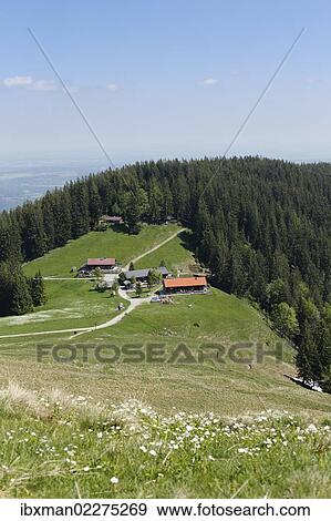 Stock Photo - "Gindelalm alp near Schliersee, Mangfall Mountains, Bavarian Alps, Upper Bavaria, Bavaria, Germany, Europe". Fotosearch