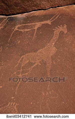 "Giraffe and antelope, rock carvings of the San people, Damaraland, Kunene Region, Namibia, Africa" View Large Photo Image Stock Image - "Giraffe and antelope, rock carvings of the San people, Damaraland, Kunene Region, Namibia, Africa". Fotosearch