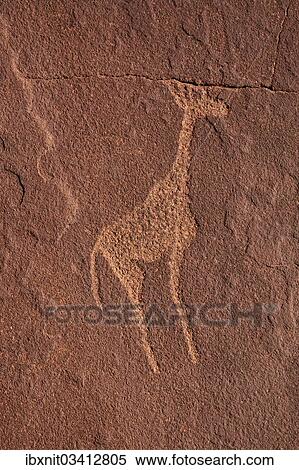 "Giraffe, rock carvings of the San people, Damaraland, Kunene Region, Namibia, Africa" View Large Photo Image Stock Photography - "Giraffe, rock carvings of the San people, Damaraland, Kunene Region, Namibia, Africa". Fotosearch