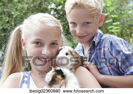 Girl and boy holding guinea pigs View Large Photo Image Stock Image - Girl and boy holding guinea pigs. Fotosearch