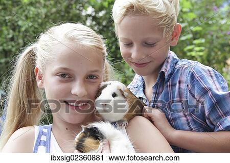 Girl and boy holding guinea pigs View Large Photo Image Stock Image - Girl and boy holding guinea pigs. Fotosearch