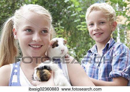 Girl and boy holding guinea pigs View Large Photo Image Stock Image - Girl and boy holding guinea pigs. Fotosearch