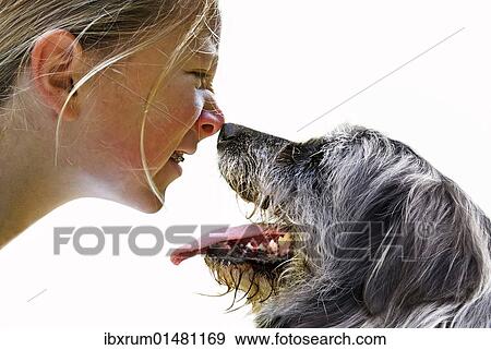 Girl and dog sniffing each other's noses View Large Photo Image Stock Photo - Girl and dog sniffing each other's noses. Fotosearch