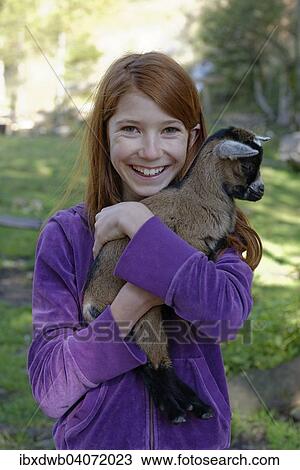 "Girl holding a dwarf goat in the petting zoo at Schopperalm, Schopper Alm, Giessenbachklamm gorge near Kiefersfelden, Inn Valley, Upper Bavaria, Bavaria, Germany, Europe" View Large Photo Image Stock Image - "Girl holding a dwarf goat in the petting zoo at Schopperalm, Schopper Alm, Giessenbachklamm gorge near Kiefersfelden, Inn Valley, Upper Bavaria, Bavaria, Germany, Europe". Fotosearch