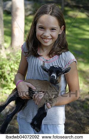 "Girl holding a dwarf goat in the petting zoo at Schopperalm, Schopper Alm, Giessenbachklamm gorge near Kiefersfelden, Inn Valley, Upper Bavaria, Bavaria, Germany, Europe" View Large Photo Image Stock Image - "Girl holding a dwarf goat in the petting zoo at Schopperalm, Schopper Alm, Giessenbachklamm gorge near Kiefersfelden, Inn Valley, Upper Bavaria, Bavaria, Germany, Europe". Fotosearch