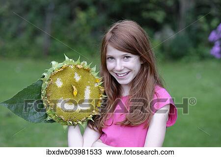 Girl holding a sunflower (Helianthus annuus) with a smiling face View Large Photo Image Stock Image - Girl holding a sunflower (Helianthus annuus) with a smiling face. Fotosearch
