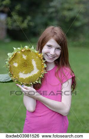 Girl holding a sunflower (Helianthus annuus) with a smiling face View Large Photo Image Stock Photograph - Girl holding a sunflower (Helianthus annuus) with a smiling face. Fotosearch