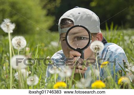 Girl inspecting dandelion clocks through a magnifying glass View Large Photo Image Stock Image - Girl inspecting dandelion clocks through a magnifying glass. Fotosearch