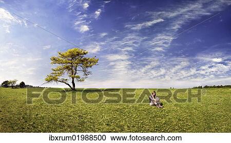 "Girl sitting in a meadow with pine tree, Altmuehltal Nature Park near Titting, Bavaria, Germany, Europe" View Large Photo Image Stock Image - "Girl sitting in a meadow with pine tree, Altmuehltal Nature Park near Titting, Bavaria, Germany, Europe". Fotosearch