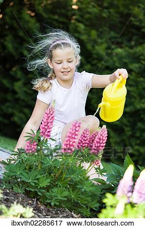 Girl with a watering can in the garden View Large Photo Image Stock Photo - Girl with a watering can in the garden. Fotosearch