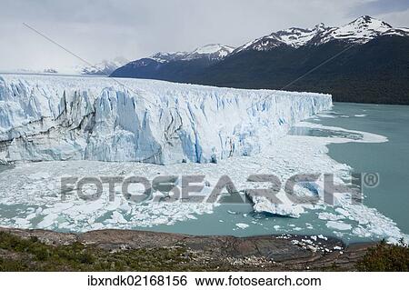 "Glacial ice from the Perito Moreno Glacier calving into the lake of Lago Argentino, Santa Cruz region, Patagonia, Argentina, South America, America, South America" View Large Photo Image Stock Photograph - "Glacial ice from the Perito Moreno Glacier calving into the lake of Lago Argentino, Santa Cruz region, Patagonia, Argentina, South America, America, South America". Fotosearch