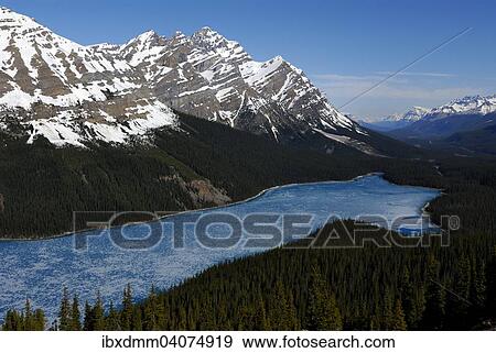 "Glacial Peyto Lake in spring with a thin sheet of ice, the summit of Mt. Patterson at the back, Banff National Park, Rocky Mountains, Alberta Province, Canada, North America" View Large Photo Image Stock Photo - "Glacial Peyto Lake in spring with a thin sheet of ice, the summit of Mt. Patterson at the back, Banff National Park, Rocky Mountains, Alberta Province, Canada, North America". Fotosearch