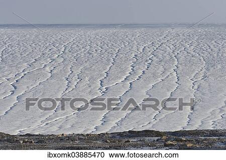 Stock Image - "Glacier, Kvitoya island, Svalbard archipelago, Svalbard and Jan Mayen, Norway, Europe". Fotosearch