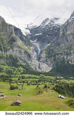 "Glacier Tongue, Upper Grindelwald Glacier, Alpine meadow, Grindelwald, Bernese Oberland, Canton of Bern, Alps, Switzerland, Europe" View Large Photo Image Stock Photograph - "Glacier Tongue, Upper Grindelwald Glacier, Alpine meadow, Grindelwald, Bernese Oberland, Canton of Bern, Alps, Switzerland, Europe". Fotosearch