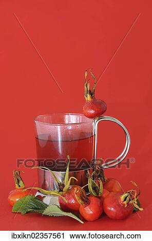 Glass with rose hip tea and rose hips View Large Photo Image Stock Image - Glass with rose hip tea and rose hips. Fotosearch