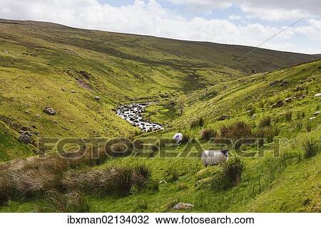 "Glendun valley near Cushendun, Glens of Antrim, County Antrim, Northern Ireland, United Kingdom, Europe" View Large Photo Image Stock Image - "Glendun valley near Cushendun, Glens of Antrim, County Antrim, Northern Ireland, United Kingdom, Europe". Fotosearch