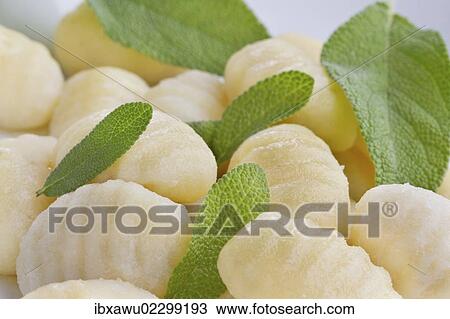 "Gnocchi, basil" View Large Photo Image Stock Image - "Gnocchi, basil". Fotosearch