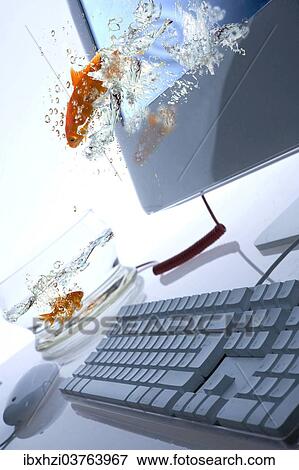 Stock Photo - "Gold fish jumping out of a screen, composing". Fotosearch