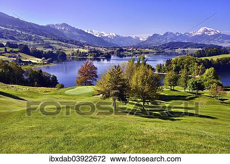 "Golf course on the Lake of Gruyere or Lac de la Gruyere, Fribourg Alps at the back with Mt Moleson or Le Moleson, Canton of Fribourg, Switzerland, Europe" View Large Photo Image Stock Image - "Golf course on the Lake of Gruyere or Lac de la Gruyere, Fribourg Alps at the back with Mt Moleson or Le Moleson, Canton of Fribourg, Switzerland, Europe". Fotosearch