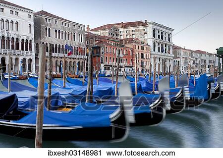 "Gondolas on the Grand Canal, Canal Grande, in the morning, Venice, Venezien, Italy, Europe" View Large Photo Image Stock Image - "Gondolas on the Grand Canal, Canal Grande, in the morning, Venice, Venezien, Italy, Europe". Fotosearch