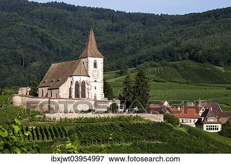 "Gothic fortified church of Saint-Jacques in the vineyards, Hunawihr, Haut-Rhin, Alsace Wine Route, Alsace, France, Europe" View Large Photo Image Stock Photo - "Gothic fortified church of Saint-Jacques in the vineyards, Hunawihr, Haut-Rhin, Alsace Wine Route, Alsace, France, Europe". Fotosearch