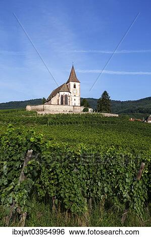 "Gothic fortified church of Saint-Jacques in the vineyards, Hunawihr, Haut-Rhin, Alsace Wine Route, Alsace, France, Europe" View Large Photo Image Stock Photograph - "Gothic fortified church of Saint-Jacques in the vineyards, Hunawihr, Haut-Rhin, Alsace Wine Route, Alsace, France, Europe". Fotosearch