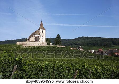 "Gothic fortified church of Saint-Jacques in the vineyards, Hunawihr, Haut-Rhin, Alsace Wine Route, Alsace, France, Europe" View Large Photo Image Stock Photography - "Gothic fortified church of Saint-Jacques in the vineyards, Hunawihr, Haut-Rhin, Alsace Wine Route, Alsace, France, Europe". Fotosearch