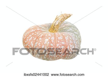 Stock Image - "Gourd, """"Turk's Cap Squash"""" variety". Fotosearch