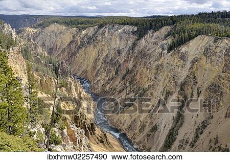 "Grand Canyon of the Yellowstone River, view from the Brink of Lower Falls, downriver, North Rim, Yellowstone National Park, Wyoming, USA" View Large Photo Image Stock Image - "Grand Canyon of the Yellowstone River, view from the Brink of Lower Falls, downriver, North Rim, Yellowstone National Park, Wyoming, USA". Fotosearch