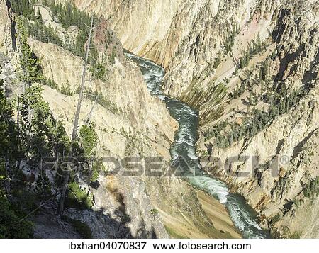 "Grand Canyon of the Yellowstone, Yellowstone National Park, Wyoming, United States, North America" View Large Photo Image Stock Photo - "Grand Canyon of the Yellowstone, Yellowstone National Park, Wyoming, United States, North America". Fotosearch