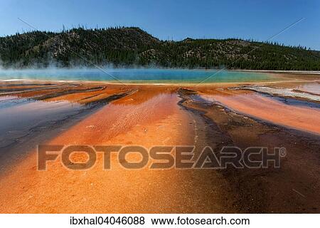 "Grand Prismatic Spring, Midway Geyser Basin, Yellowstone National Park, Wyoming, United States, North America" View Large Photo Image Stock Photo - "Grand Prismatic Spring, Midway Geyser Basin, Yellowstone National Park, Wyoming, United States, North America". Fotosearch
