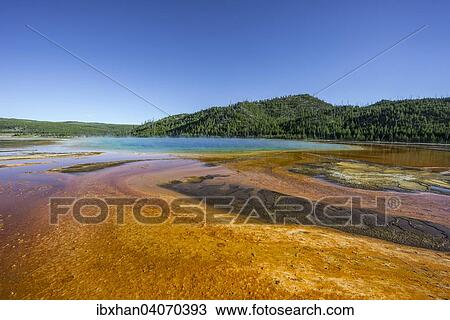 "Grand Prismatic Spring, Yellowstone National Park, Wyoming, United States, North America" View Large Photo Image Stock Image - "Grand Prismatic Spring, Yellowstone National Park, Wyoming, United States, North America". Fotosearch