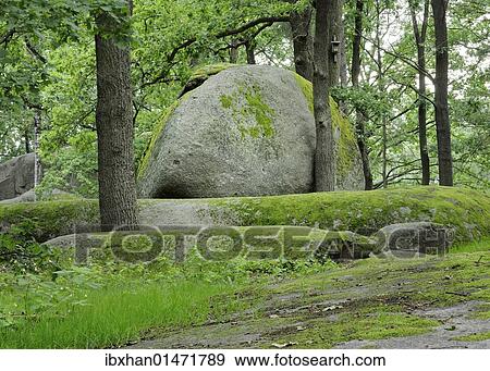 "Granit rock, Blockheide nature park in Gmuend, Lower Austria, Austria, Europe" View Large Photo Image Stock Photo - "Granit rock, Blockheide nature park in Gmuend, Lower Austria, Austria, Europe". Fotosearch
