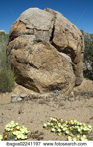 "Granite rock, split by extreme temperature fluctuations, Namaqualand, South Africa, Africa" View Large Photo Image Stock Photo - "Granite rock, split by extreme temperature fluctuations, Namaqualand, South Africa, Africa". Fotosearch