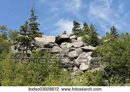 "Granite rocks, Grenzklippe cliffs on Mt Hohnekamm, Harz National Park, Saxony-Anhalt, Germany, Europe" View Large Photo Image Stock Image - "Granite rocks, Grenzklippe cliffs on Mt Hohnekamm, Harz National Park, Saxony-Anhalt, Germany, Europe". Fotosearch