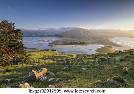 "Grassland, Hoopers Inlet at the back, a bay on the Otago Peninsula, South Island, New Zealand, Oceania" View Large Photo Image Stock Photography - "Grassland, Hoopers Inlet at the back, a bay on the Otago Peninsula, South Island, New Zealand, Oceania". Fotosearch
