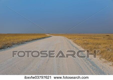 "Gravel road in Etosha National Park, Namibia, Africa" View Large Photo Image Stock Image - "Gravel road in Etosha National Park, Namibia, Africa". Fotosearch