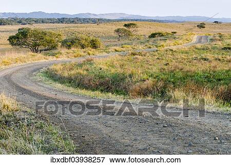 "Gravel road through the countryside, iSimangaliso Wetland Park, St Lucia, KwaZulu-Natal, South Africa, Africa" View Large Photo Image Stock Photo - "Gravel road through the countryside, iSimangaliso Wetland Park, St Lucia, KwaZulu-Natal, South Africa, Africa". Fotosearch