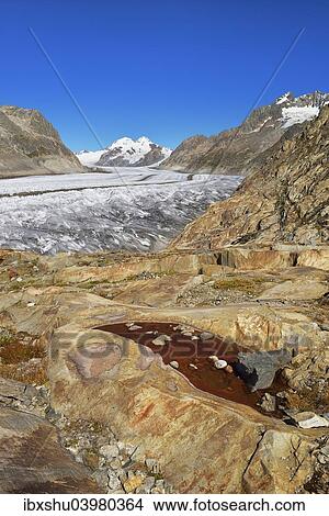 Picture - "Great Aletsch Glacier, mountains Eiger and Monch at the back, Canton of Valais, Goms, Switzerland, Europe". Fotosearch