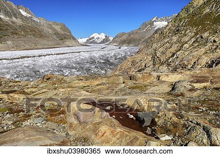 Stock Photography - "Great Aletsch Glacier, mountains Eiger and Monch at the back, Canton of Valais, Goms, Switzerland, Europe". Fotosearch