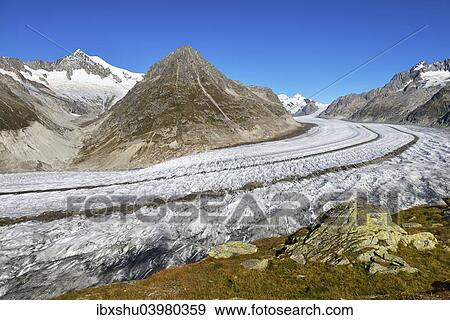 Stock Photo - "Great Aletsch Glacier, Mt Olmenhorn at the front, Mt Aletschhorn at the back, Canton of Valais, Goms, Switzerland, Europe". Fotosearch