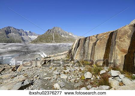 Stock Photo - "Great Aletsch Glacier, Mt. Olmenhorn in the back, UNESCO World Heritage Site Swiss Alps Jungfrau-Aletsch, Goms, Valais, Switzerland, Europe". Fotosearch