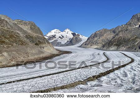 "Great Aletsch Glacier, the mountains Eiger and Monch at the back, Canton of Valais, Goms, Switzerland, Europe" View Large Photo Image Stock Image - "Great Aletsch Glacier, the mountains Eiger and Monch at the back, Canton of Valais, Goms, Switzerland, Europe". Fotosearch